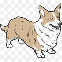 ��ͨ�ɰ�С����װ�ζ���ͷ��-������