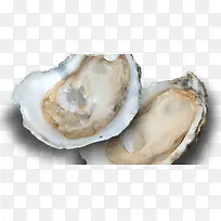 ��ζ�������-������