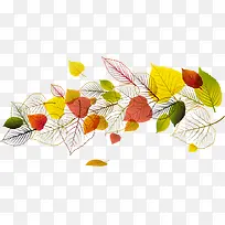 ʱ��ҶƬ-������