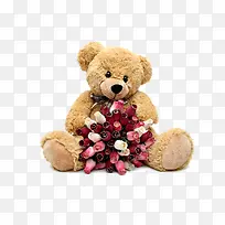 实物玫瑰泰迪熊公仔元素-空若网 实物玫瑰泰迪熊公仔元素-空若网
