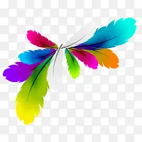彩色羽毛-空若网 彩色羽毛-空若网