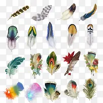 各类彩色羽毛合集-空若网 各类彩色羽毛合集-空若网