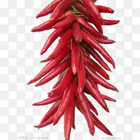 ʳ��ͼƬ�ز�  ������ɫ����-������