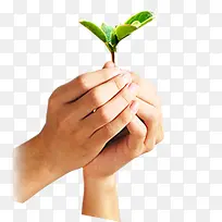 手拿小草-空若网 手拿小草-空若网