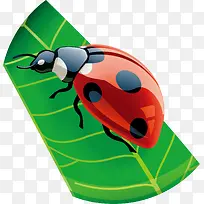 七星瓢虫png矢量素材-空若网 七星瓢虫png矢量素材-空若网