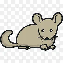 ����ʸ����ͨ�ֻ�����-������