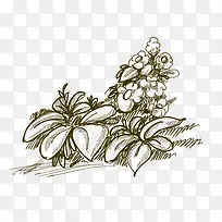 �ֻ��ʻ�-������