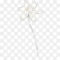 水彩画牵牛花矢量图-空若网 水彩画牵牛花矢量图-空若网