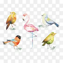 矢量动物素材-空若网 矢量动物素材-空若网