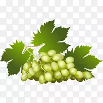 普通葡萄汁-浆果-空若网 普通葡萄汁-浆果-空若网