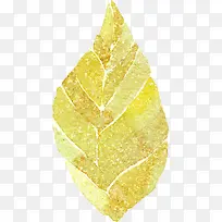 �廭��Ҷ-������