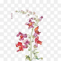 ��ɫ������ֻ��ز�-������