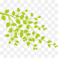 绿色树枝-空若网 绿色树枝-空若网