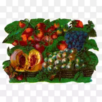 水果数码艺术水彩画食品礼品篮夹艺术水果篮-空若网 水果数码艺术水彩画食品礼品篮夹艺术水果篮-空若网