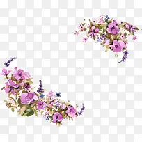 矢量花卉装饰素材-空若网 矢量花卉装饰素材-空若网