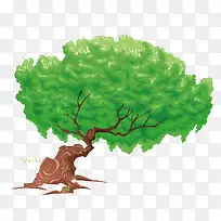 绿色百年大树-空若网 绿色百年大树-空若网