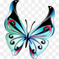 美丽的蝴蝶-空若网 美丽的蝴蝶-空若网