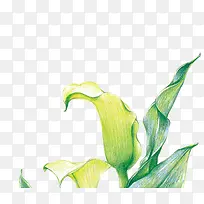 ��Ӱ��װ����Ч��Ԫ��-������