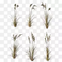 ²Ý¡¢Ö¦¡¢Ö²Îï¾¥¸Ñ-¿ÕÈôÍø ²Ý¡¢Ö¦¡¢Ö²Îï¾¥¸Ñ-¿ÕÈôÍø