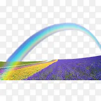 唯美的薰衣草花海彩虹-空若网 唯美的薰衣草花海彩虹-空若网