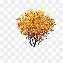 矮树-空若网 矮树-空若网