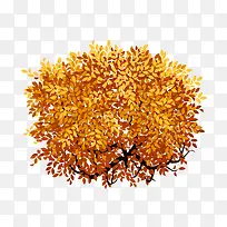 矮树-空若网 矮树-空若网