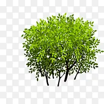 ����-������