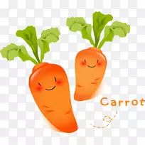 胡萝卜蔬菜萝卜食品水果胡萝卜-空若网 胡萝卜蔬菜萝卜食品水果胡萝卜-空若网