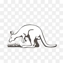 低头找食物的袋鼠-空若网 低头找食物的袋鼠-空若网