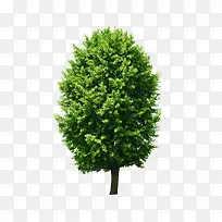 ��-������