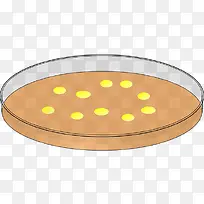 实验室培养器皿-空若网 实验室培养器皿-空若网