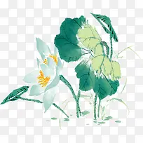 彩绘白色荷花-空若网 彩绘白色荷花-空若网