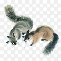 两只可爱觅食松鼠-空若网 两只可爱觅食松鼠-空若网