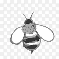 矢量黑白可爱小蜜蜂手绘-空若网 矢量黑白可爱小蜜蜂手绘-空若网