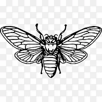 蜜蜂昆虫动物-空若网 蜜蜂昆虫动物-空若网