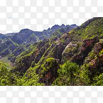 ���ƴ�Ͽ��-������