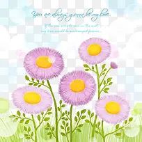 卡片背景素材太阳菊-空若网 卡片背景素材太阳菊-空若网