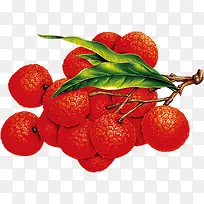 ��֦-������