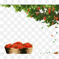 ´´ÒâÀóÖ¦Ê÷²åÍ¼ÔªËØ-¿ÕÈôÍø ´´ÒâÀóÖ¦Ê÷²åÍ¼ÔªËØ-¿ÕÈôÍø