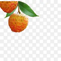 ˮ����֦-������