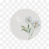 Բ�β廭-������