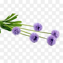 ���滨��-������