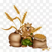 ʳ�ö�����Ʒ�ݿ�-��-������