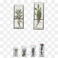 玻璃花盆培养皿-空若网 玻璃花盆培养皿-空若网