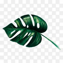 时尚彩绘叶子-空若网 时尚彩绘叶子-空若网