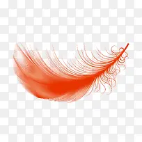 彩色羽毛矢量图-空若网 彩色羽毛矢量图-空若网