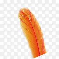 橙色羽毛素材医院-空若网 橙色羽毛素材医院-空若网