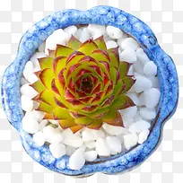 ������ ���ⳤ����ϵ�л���-������