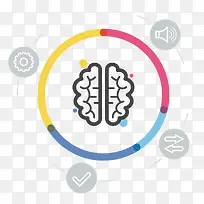 彩色大脑-空若网 彩色大脑-空若网