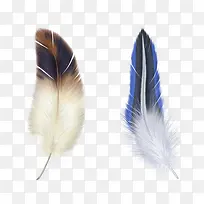 ��ɫ��ë-������